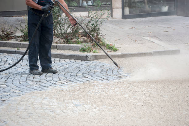 Animal Enclosure Cleaning in Lake Kerr, FL