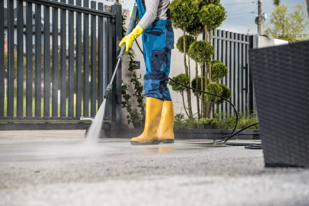 Best Fence Cleaning  in Lake Kerr, FL